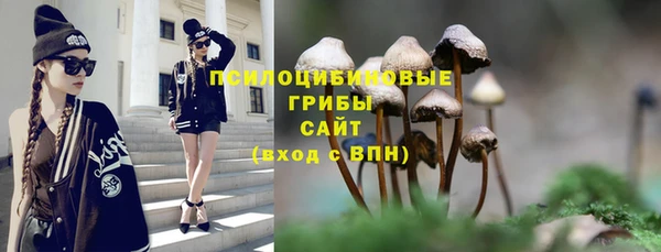 спайс Алексин