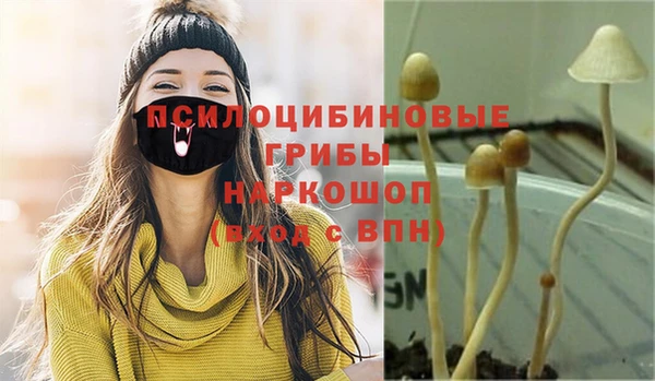 кокс Алексеевка