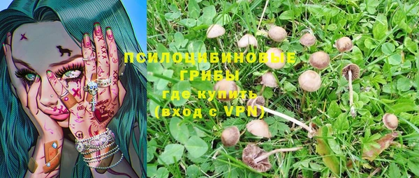 кокс Алексеевка