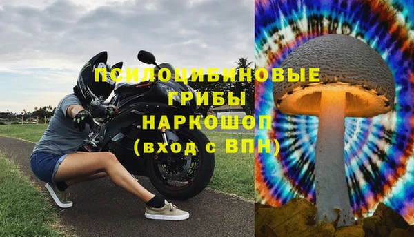 спайс Алексин