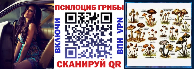 сколько стоит  Ковров  Галлюциногенные грибы прущие грибы 
